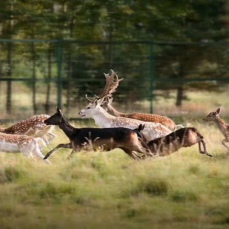 Bed & Breakfast Farma B&b, Suntago & Deepspot Many